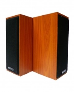 speaker